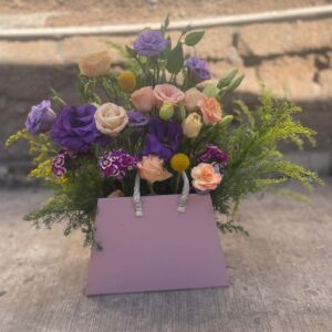 Bolso Lisinathusy crispedias